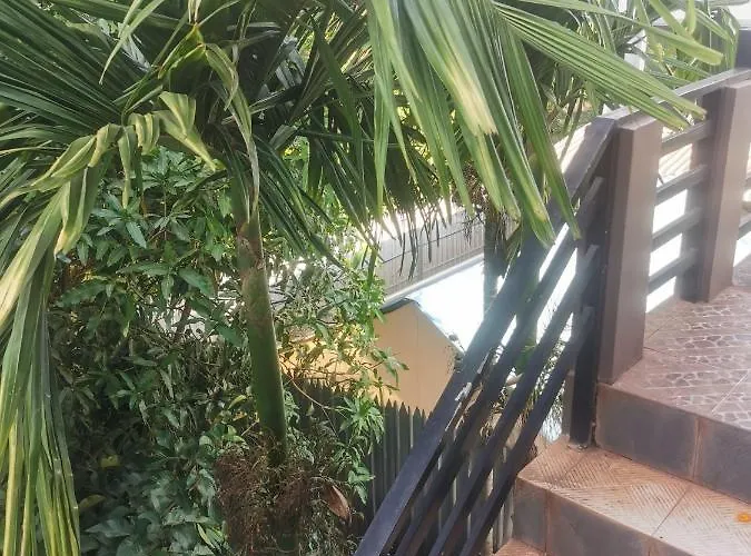 招待所 Luxury Houses 暹粒